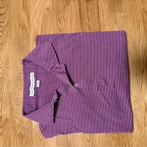 Purple and Red Striped Polo Shirt
